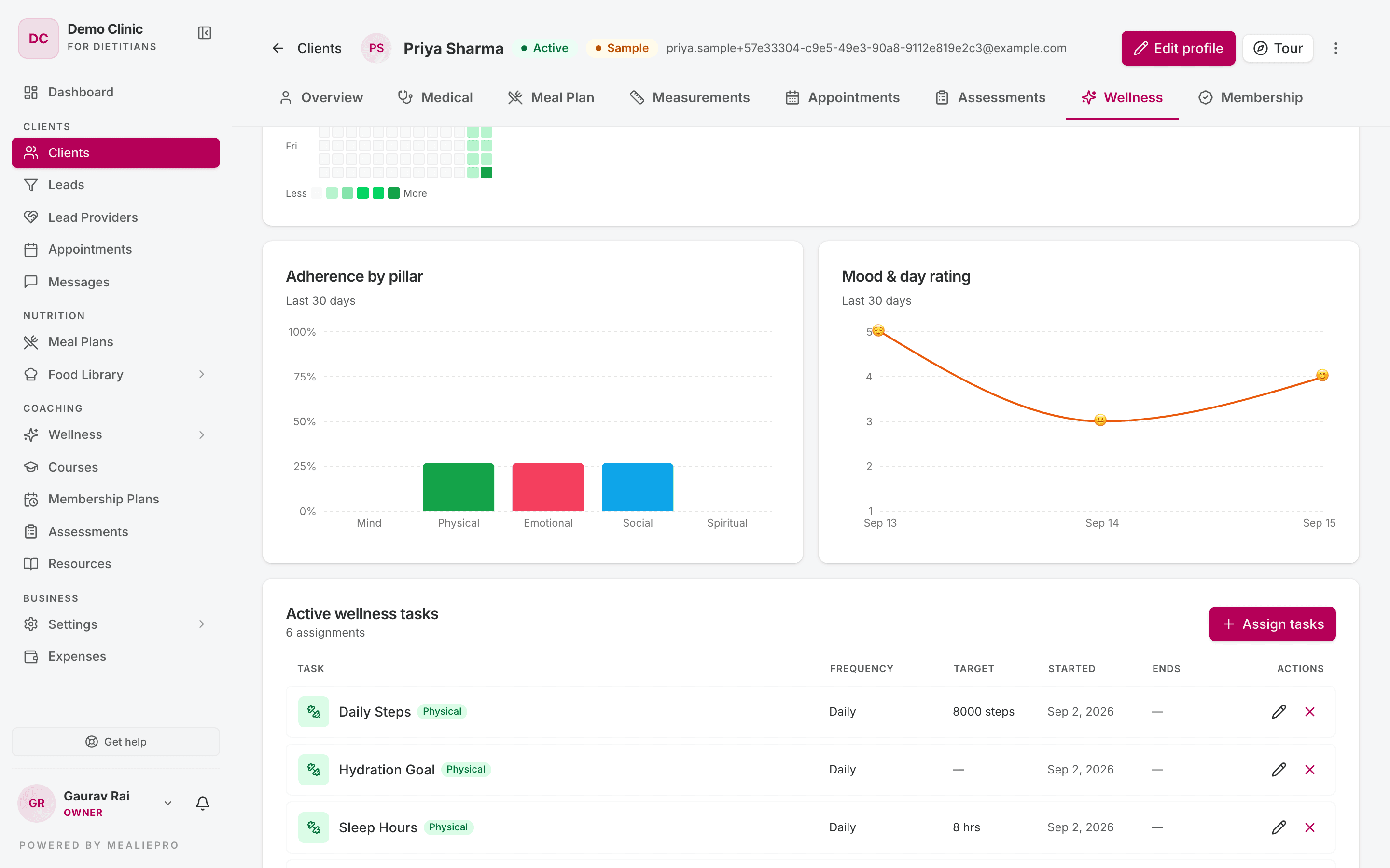 Client Wellness tab